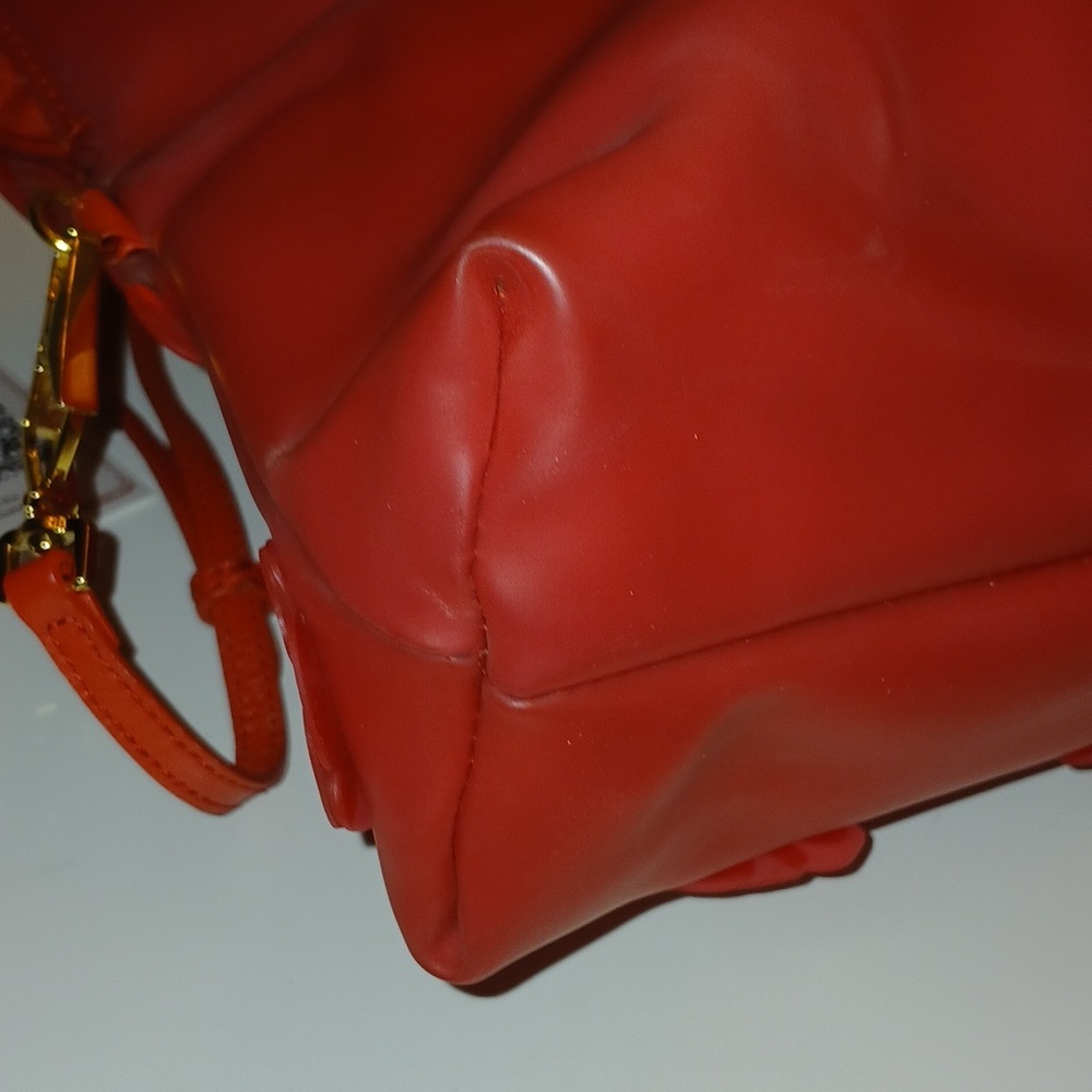 Burberry Prorsum Petal, C O A - Picture 8 of 12